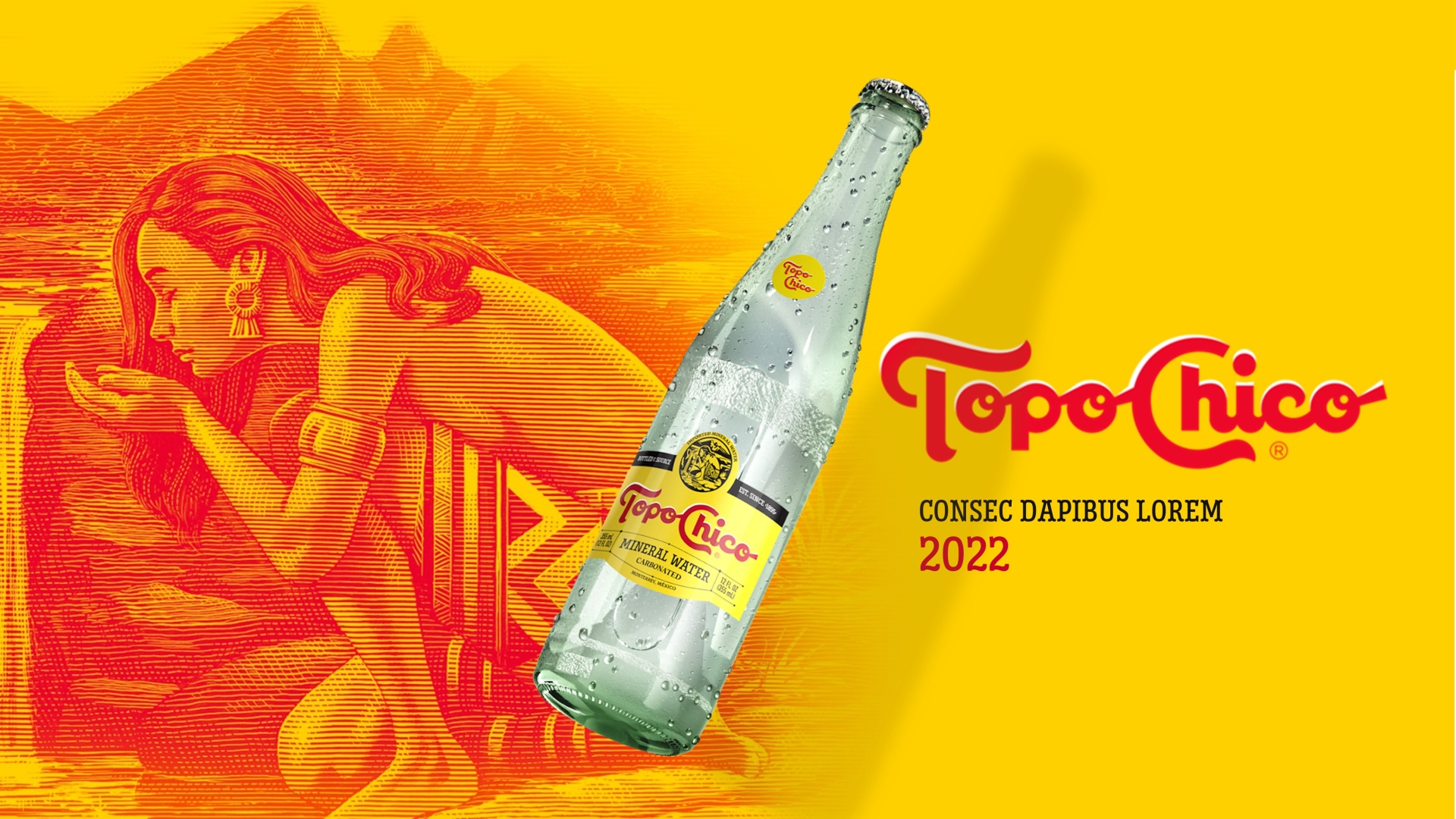 Topo Chico Project Overview Slide